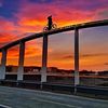 charlie_warman