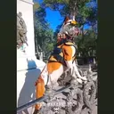 @aguilarenaud57