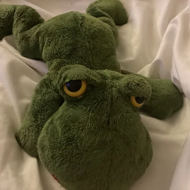 @frogyfrogs