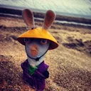 @p4rtyy.cr4sh0ut