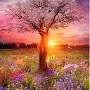 @calmspirits1