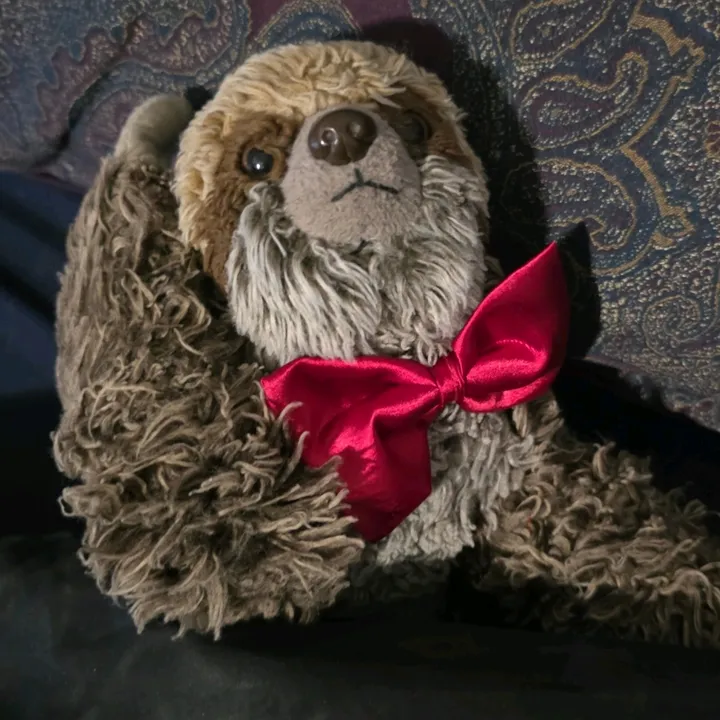 sidthesaucysloth