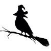 wyldravin