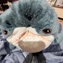 @dizzy_claws
