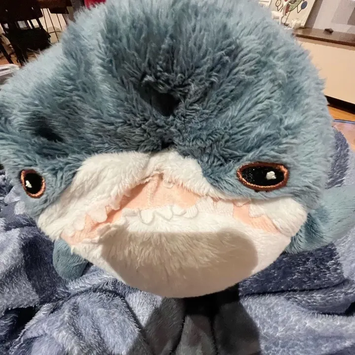 @dizzy_claws