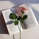 @star.reads