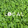 localgrown.tn