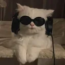 @octooputhy