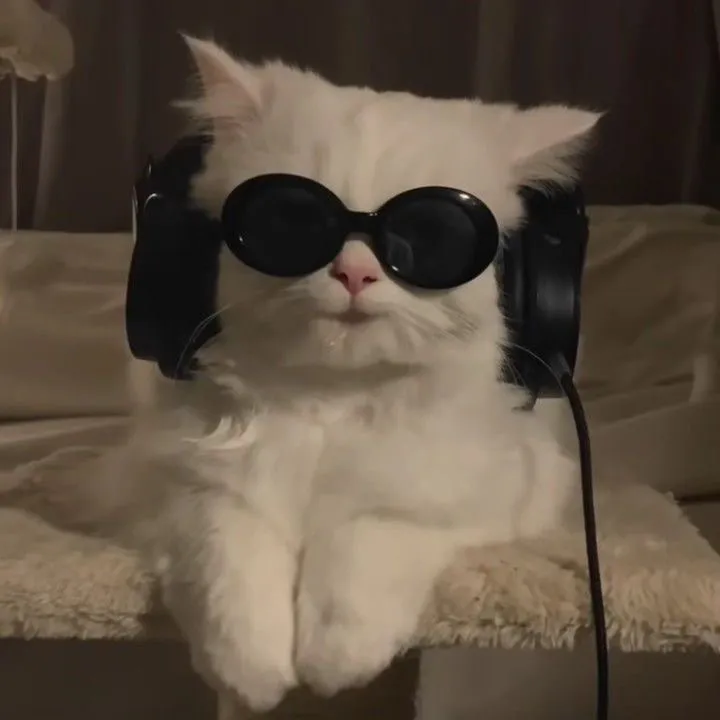 @octooputhy