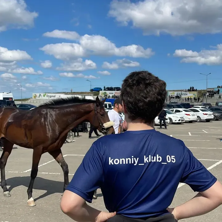 horsemhk