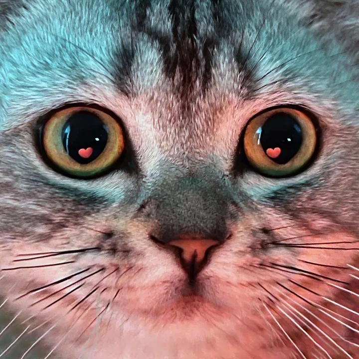 catmi7