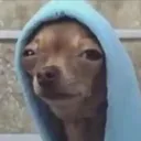@lost0110