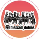 @blessed_dobies