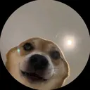 @always_winnie