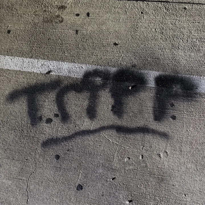 @trippi3z