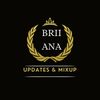 updatesbybrii