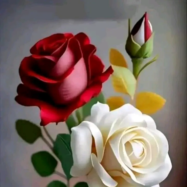 @qamarkhan78692