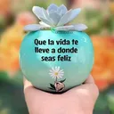 @lindaro1