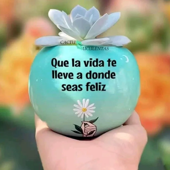@lindaro1