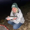 @jodilarson17