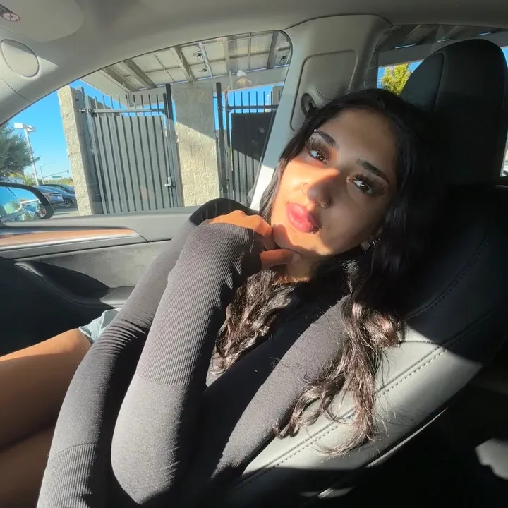 persianmeowmeow1