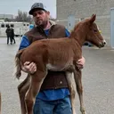 @truckindad414