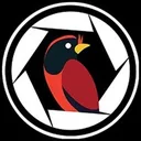 @birdingsimulator