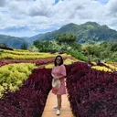 @remediostiu