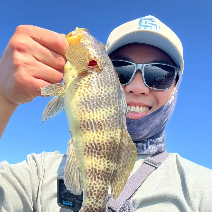 @bpalwaysfishing
