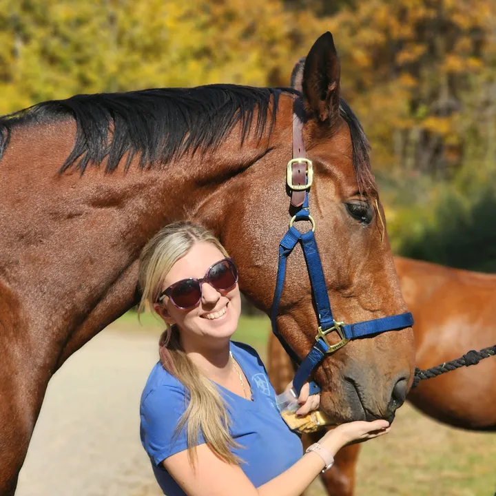 linds_and_allegro