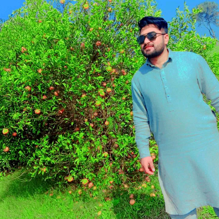 @atifdhillu985
