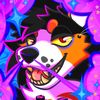 deliriouscorgi