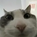 @bigfan2199