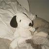 fanofwallows