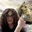 @ilmessiadiknull