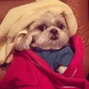 @queendynamo4