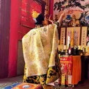 @xuanwudishi