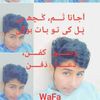 awanbilalmalik333
