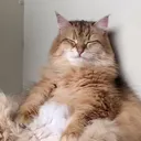 @movejbrwr8e