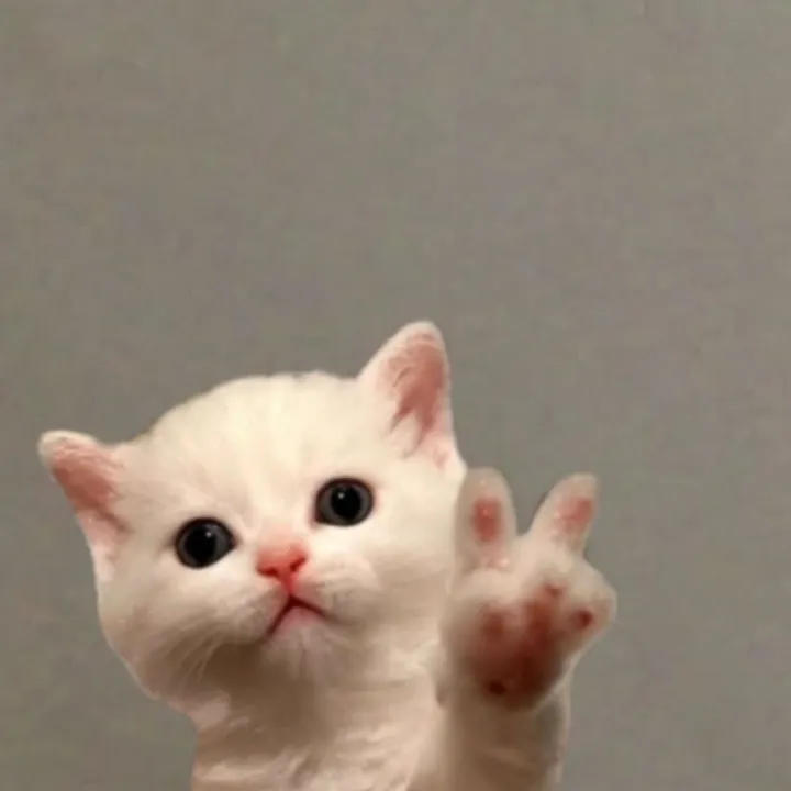 @batman86_86
