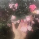 @pixiessfairy