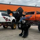 @hectorrosas137