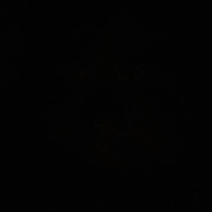 @carolineyaps