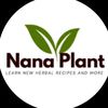 nanaplant2