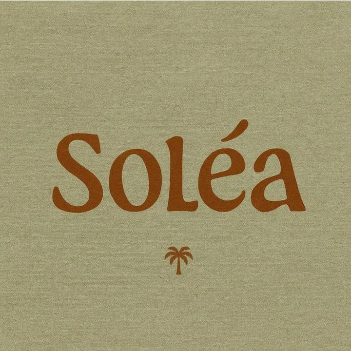 soleaofficial.shop