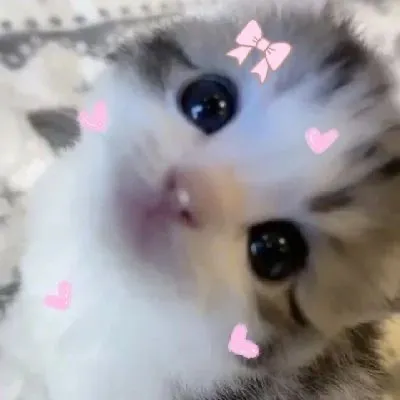 @moon_light_2357