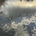 @hijhhhhh5