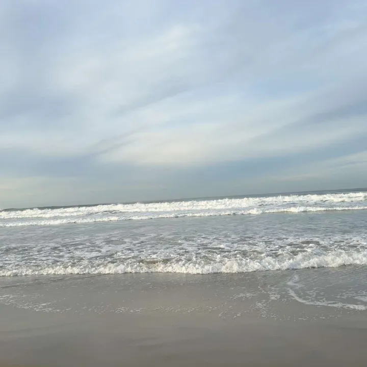 @a1966286