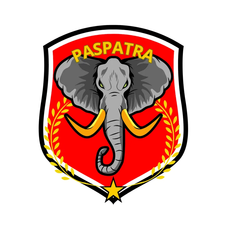 paspatra.sby