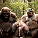 @squatchfriends